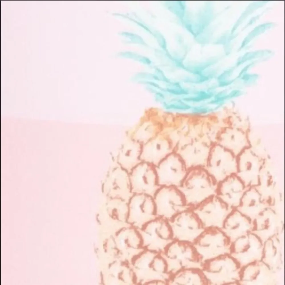 •the Bikini Lab•Pineapple Swimsuit - Picture 5 of 5